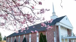 The Wisdom of Generosity - Bible Study Hour  (11/29/2020)