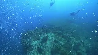Fundives @ Kohtao Thailand May  2023