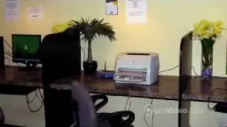 Berrytree.mp4