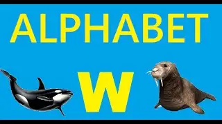 Learning Alphabet W......W for WALRUS ..... W for WHALE
