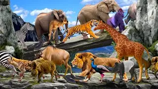 Animal Names And Sounds For Kids To Learn| Animal Sounds Song For Babies| Wild Animal Song For Kids