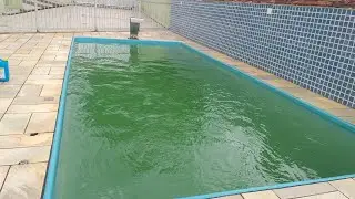 Piscina com &aacute;gua verde como resolver