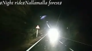 #nallamalla forest##journey##forest#driving#ride#alone#