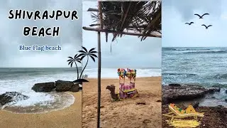 Shivrajpur Beach Dwarka Gujarat 📍 Blue Flag Sea India #blueflagbeach #shivrajpurbeach @Darshkevideo1