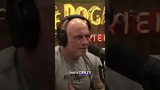 Joe Rogan: ICE Raids Home Depot & Walmart-Funded Protests?!