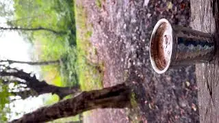 Hot Chocolate in the Rain: Cozy Forest Ambience