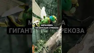 Меганевра - Гигантская стрекоза размером с человека