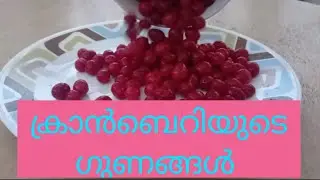 Health benefits of Cranberry in Malayalam | BEMMM | Kerala | #cranberries