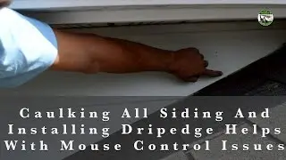 How Caulking Siding And Installing Drip Edge Helps Mouse Control