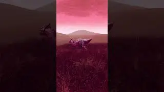 Seafood Planet Shorts: The Pack Grows more Impatient ...#speculativeevolution #creatureanimation