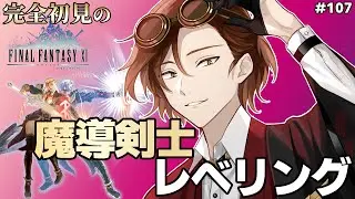 【 FF11 】 キャンペーン だ！ 魔導剣士 のレベル上げたい 初見 タルタル 107 【 オーディン鯖 / アノロク / 小谷鳥マギア 】