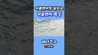 Winter Punch Special│Fishing Tips│Fishing
