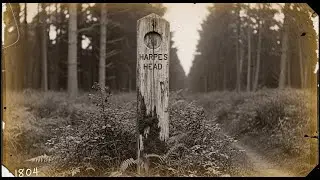 THE HARPE BROTHERS: AMERICA'S FIRST SERIAL KILLERS