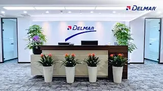 Meet Delmar China - Powering International Logistics and Freight Forwarding