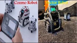 Difference between Vector Robot and Cozmo Robot