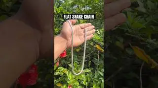 Flat Snake Chain | Men Fashion Online Store | Free Shipping all over India