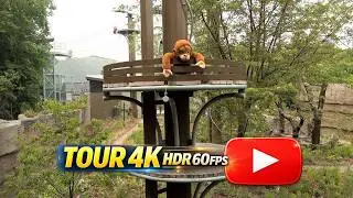 🦧 Toronto Zoo Unveiled a New Orangutans Rainforest Habitat 🐵🐻🌳🦧 (4K HDR)