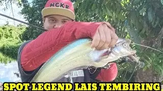 MANCING LAIS TABIRING DI SUNGAI KATINGAN  ‼️