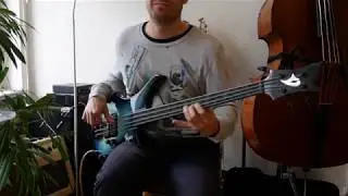Vigier Passion fretless - for sale