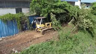 Extreme Mini Bulldozer Forest Clearing — Surprisingly Strong!