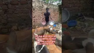 Kindly help us with some dog food every little you donate helps PayPal link in bio🙏#dogfood #dogs