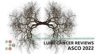 Keytruda Combined with Anti-VEGF Treatment:Use in Patients with Advanced NSCLC-ASCO Lung Review 2022