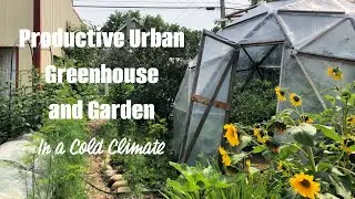 A midsummer walk through a productive urban garden