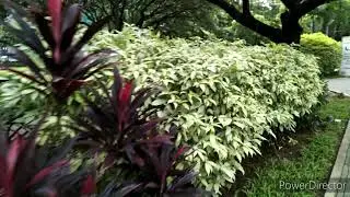 360 N6 Lite, Sample 4K Video