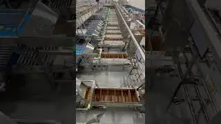 Lemon 🍋 packing line w/ AB count fillers and auto empty box delivery system @packlinetech