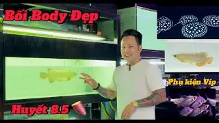 Chia Sẻ Cách Lựa Chọn Body 1 Con Huyết Long Đẹp | Và Lên Vài Mẫu Cho Anh Em Lựa Chọn