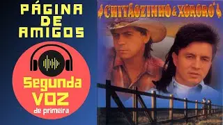COMO FAZER A SEGUNDA VOZ SERTANEJA - PÁGINA DE AMIGOS