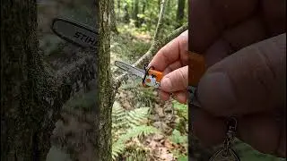 Keychain STIHL vs Small Forest Branch (Ultra Realistic Cut)