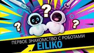 🤖Eiliko - первое знакомство 🤩. Первый мини робот-брелок с Ai🙀