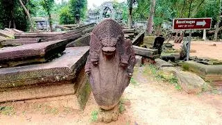 Exploring Beng Mealea 🛕 Cambodia&rsquo;s Hidden Angkor