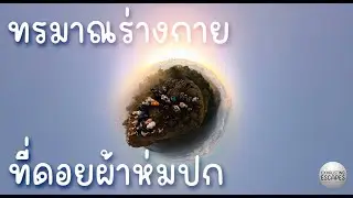 ทริปส่งท้ายปี 68 ขับรถกว่า 800 โล เดินท่ามกลางความมืดอีก 3.5 โลเพื่อแสงแรกขอวัน ณ. ยอดดอยผ้าห่มปก