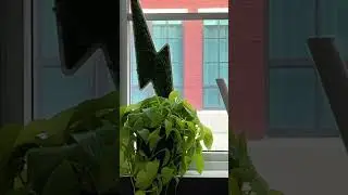 Unleash Your Creative Potential: Rent a Private Office at Ampersand Studios Miami