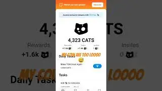Cats coin 🪙 @crazycrypto #catscoin