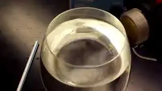 Resonant Oscillations of Wine Glass with Water 1