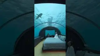 Inside the world&rsquo;s most luxurious underwater hotel#nature