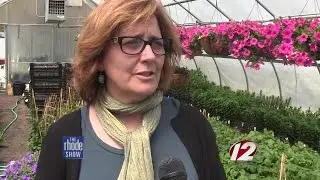 RI Monthly Flowers