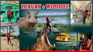 Luxury in the Wild: I Stayed at Elsamere Lodge Conservancy 🦛✨”