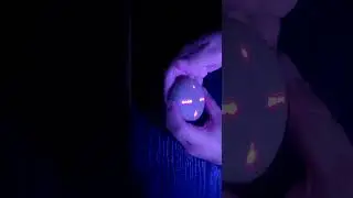 Drake Sample Flip on Yeezy Stem Player #kanyewest #drake #hiphop #music #Yeezy #shorts #Laurynhill