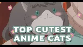 Top 19 Greatest Cutest Anime Cats of all time - Meow. - Catisfaction