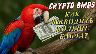 💸 Как заработать X7 в CryptoBirds за 7 дней? Полный гайд!