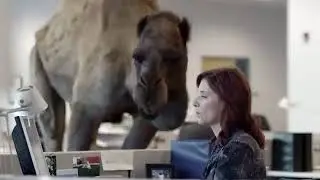 GEICO Hump Day Camel Commercial (2013)