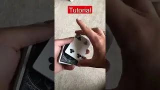 Learn HOW to do the SHAKE CHANGE🤯🤯 #shorts #tutorial