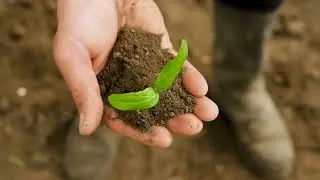 Mastering Green Sustainable Operations