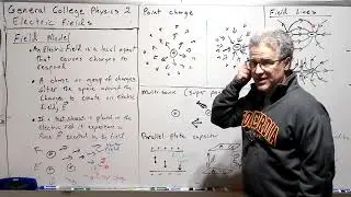 Электрические поля | Физика II (Общая физика для колледжей) - Лекция 12