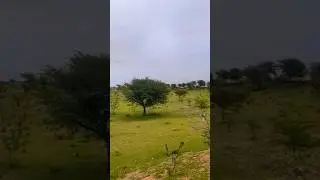 kya Nazare hai....👌👌#rajasthan #churu# weather