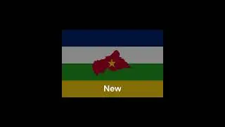 Custom  Flag #1 Central African Republic